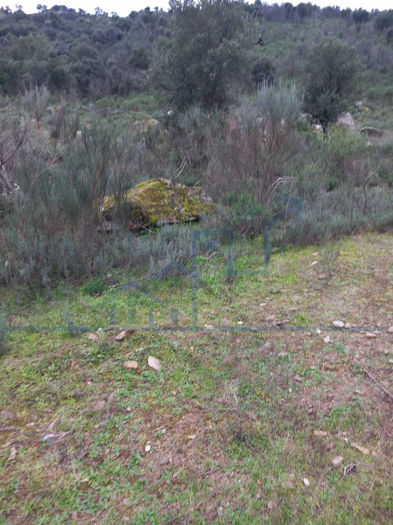 Terreno para Venda em Adeganha e Cardanha Foto 11