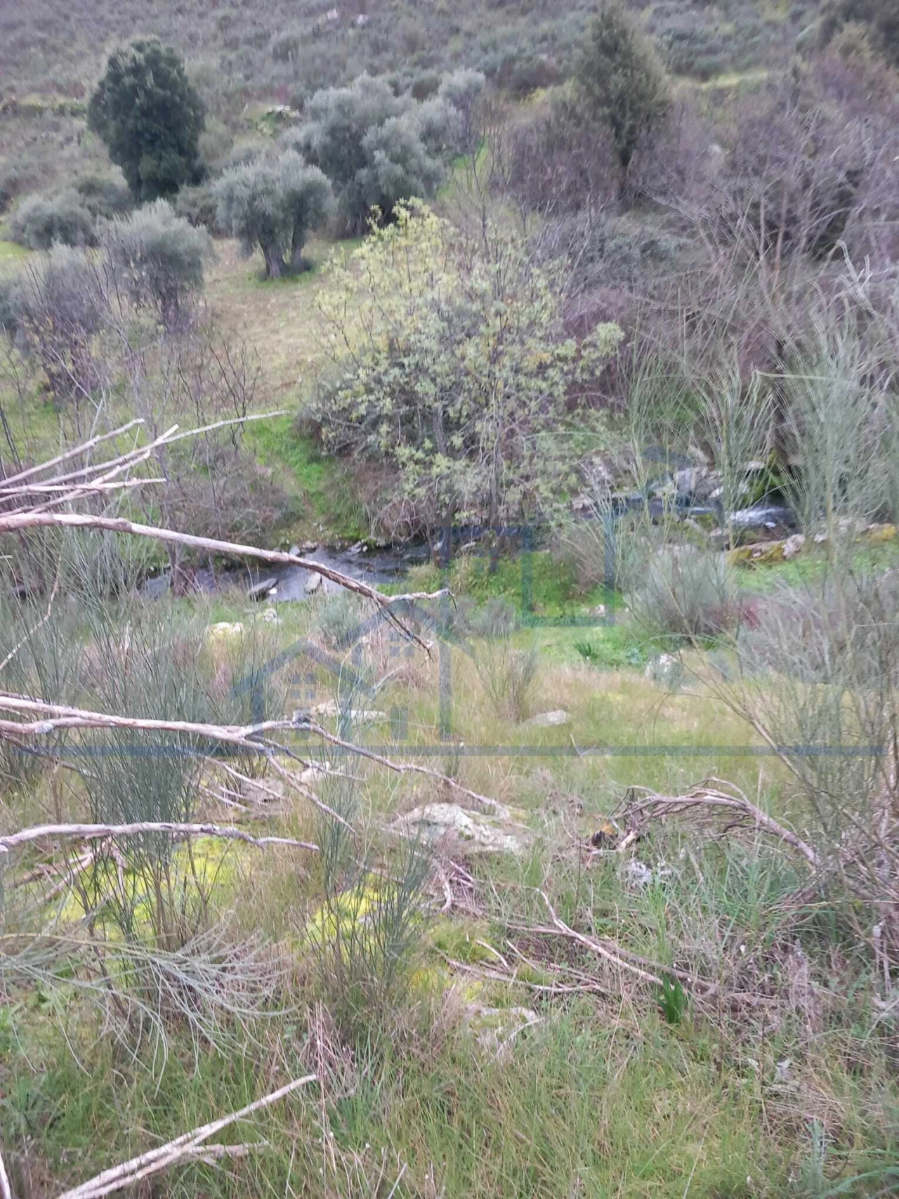 Terreno para Venda em Adeganha e Cardanha Foto 10