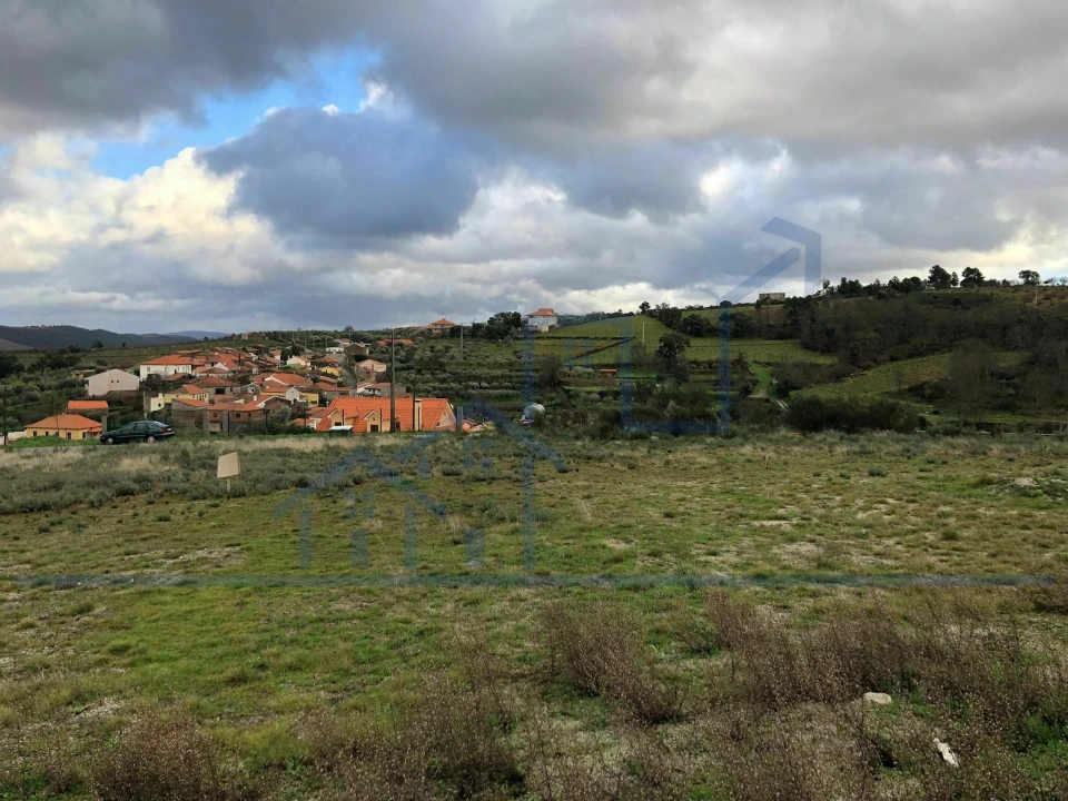 Terreno para Venda em Felgar e Souto da Velha Foto 1