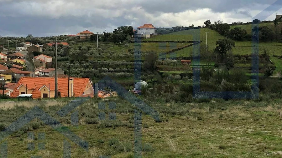 Terreno para Venda em Felgar e Souto da Velha