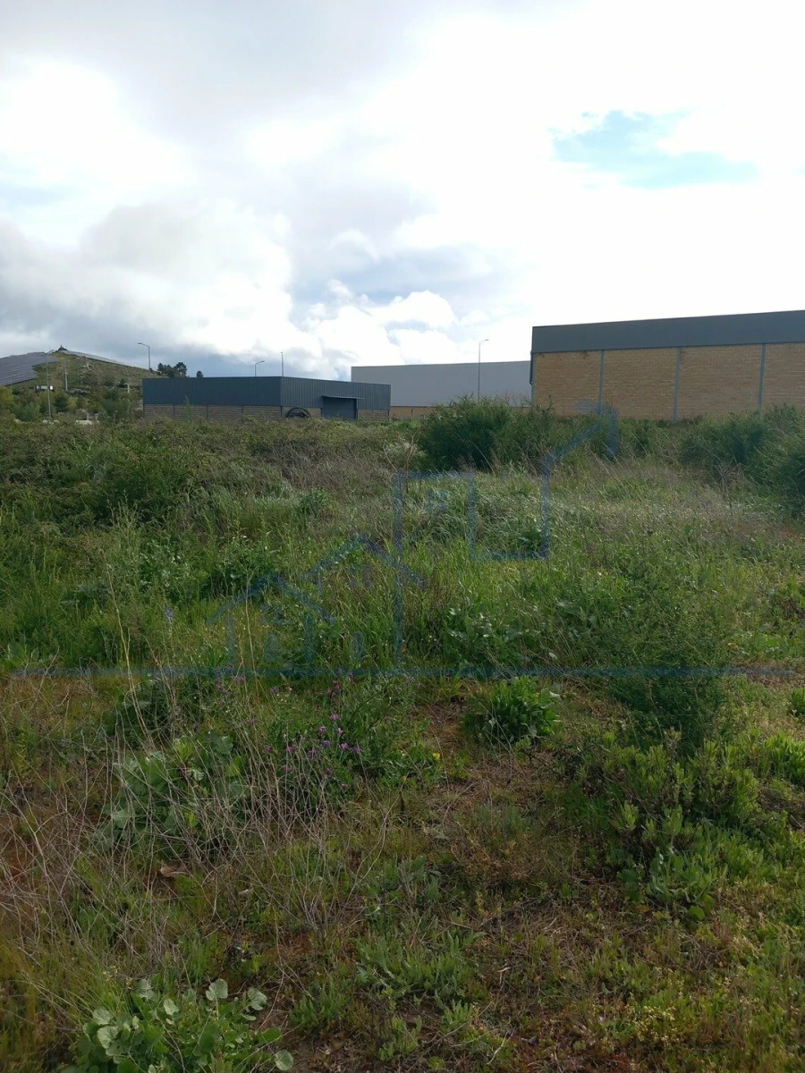 Terreno para Venda em Larinho Foto 4