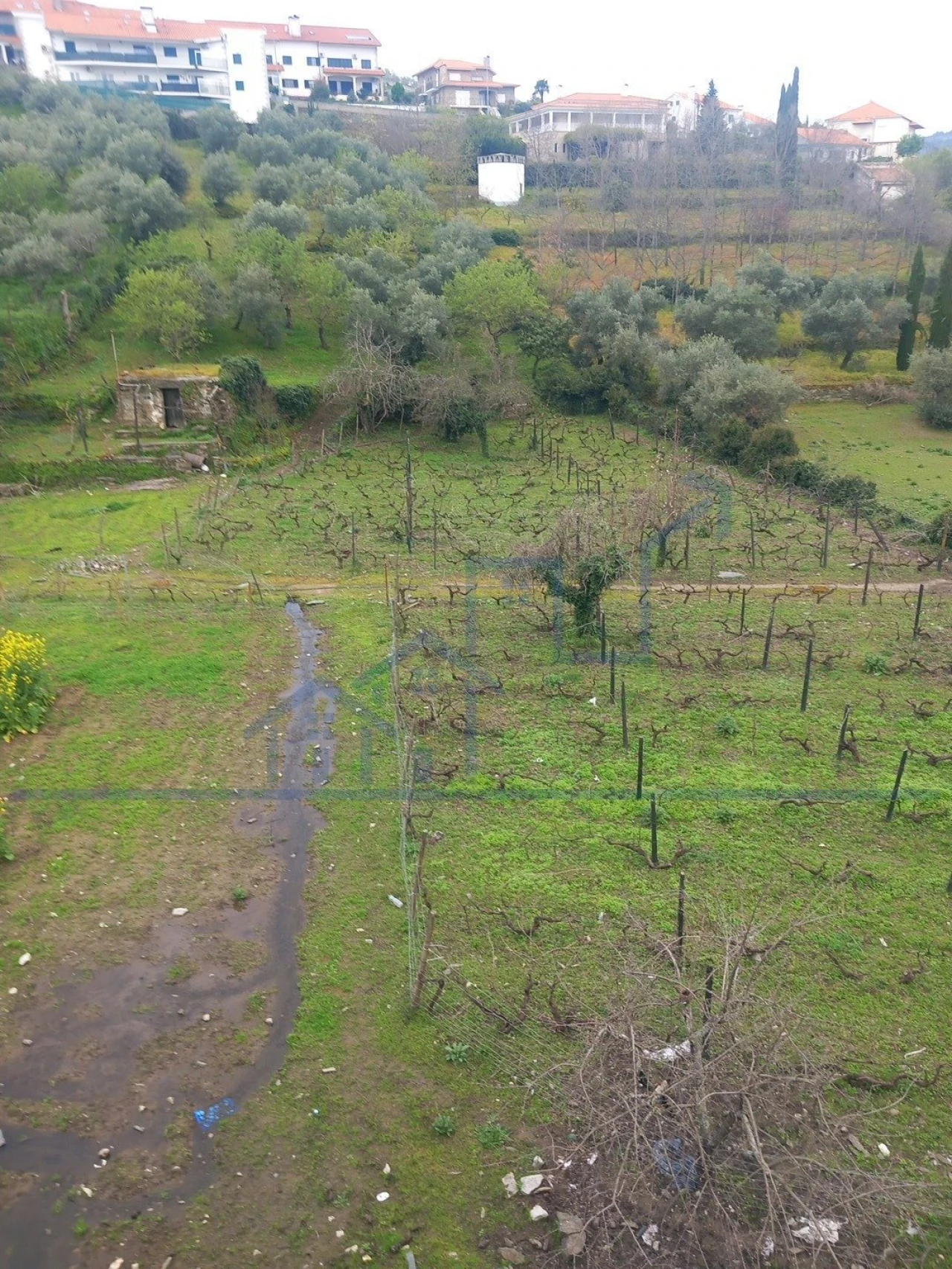 Terreno para Venda em Freixo de Espada a Cinta e Mazouco Foto 10