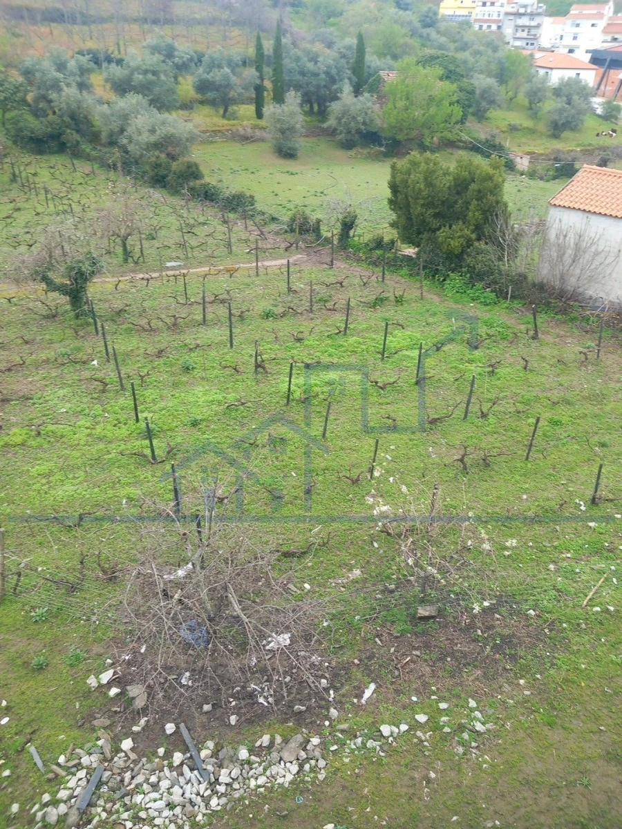 Terreno para Venda em Freixo de Espada a Cinta e Mazouco Foto 1