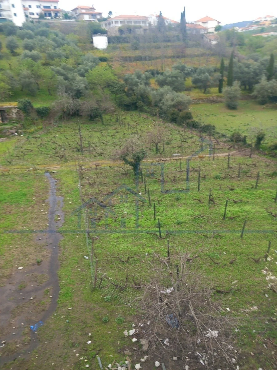 Terreno para Venda em Freixo de Espada a Cinta e Mazouco Foto 7