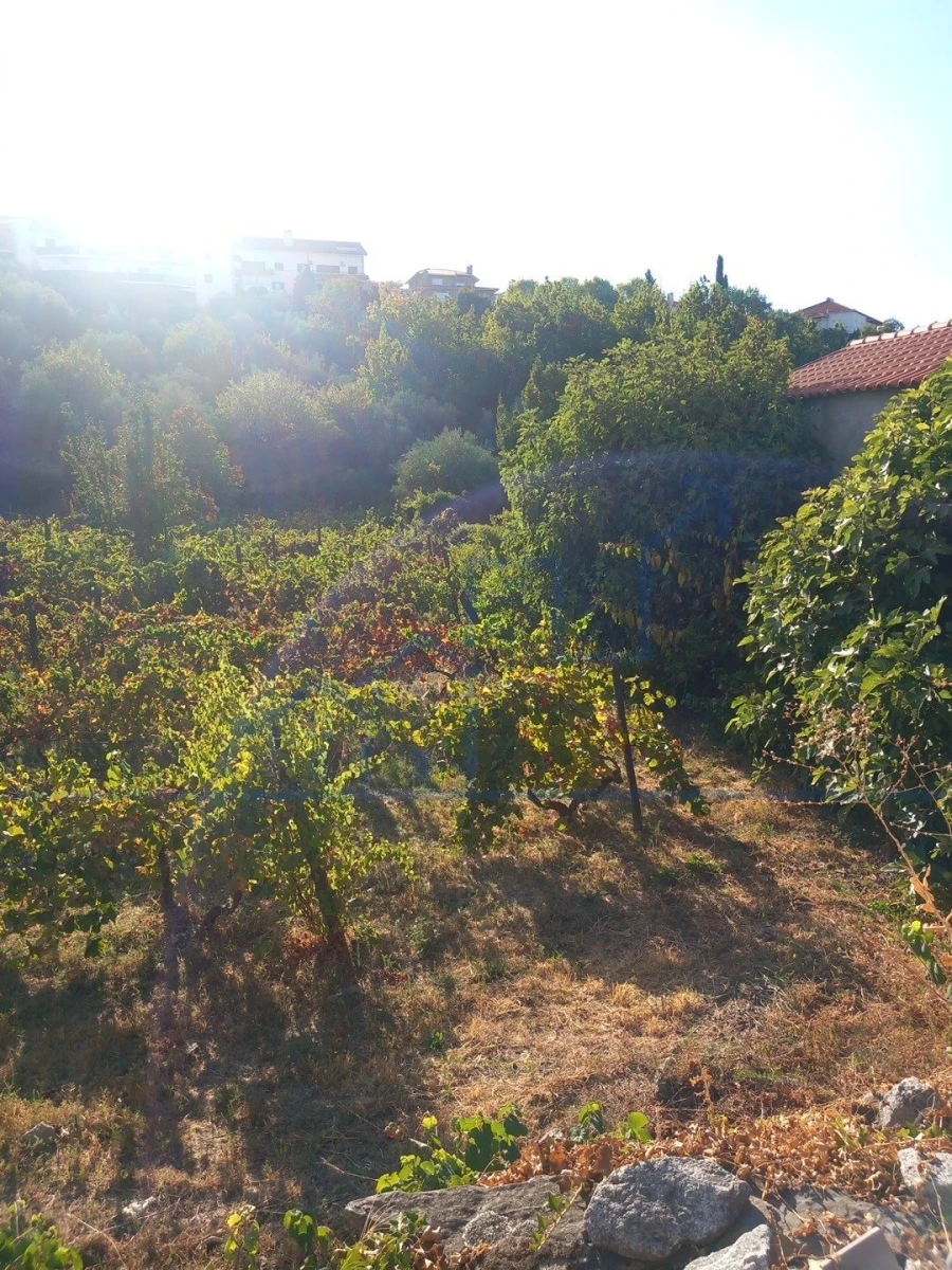 Terreno para Venda em Freixo de Espada a Cinta e Mazouco Foto 5
