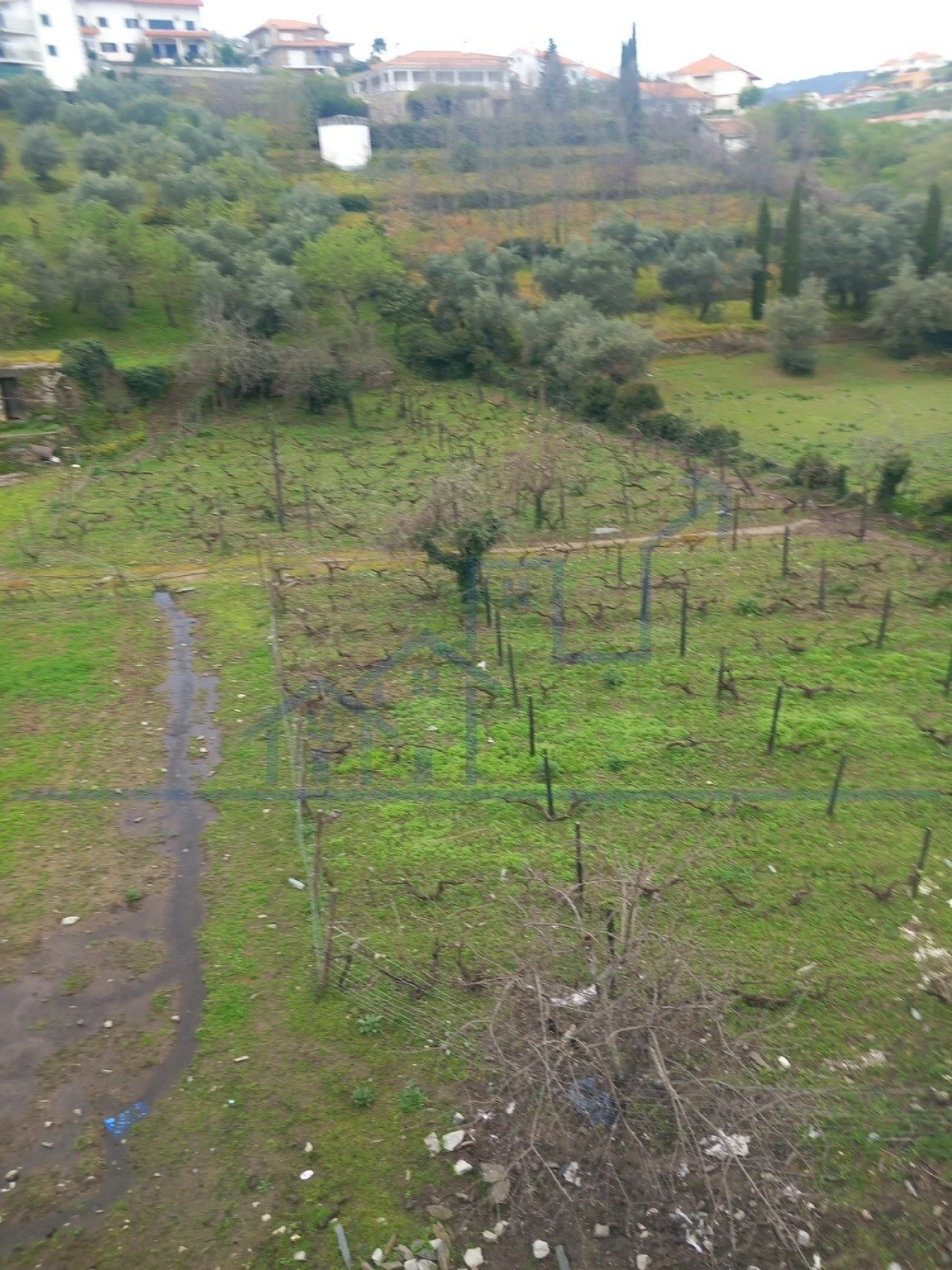 Terreno para Venda em Freixo de Espada a Cinta e Mazouco Foto 7