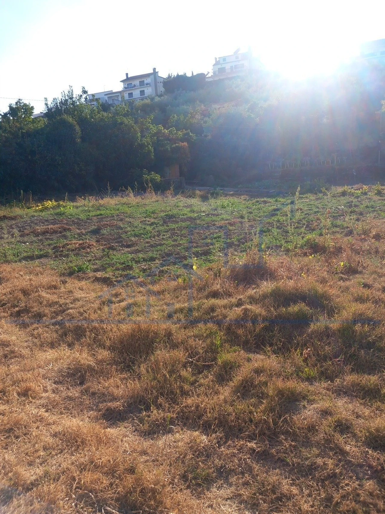 Terreno para Venda em Freixo de Espada a Cinta e Mazouco Foto 3