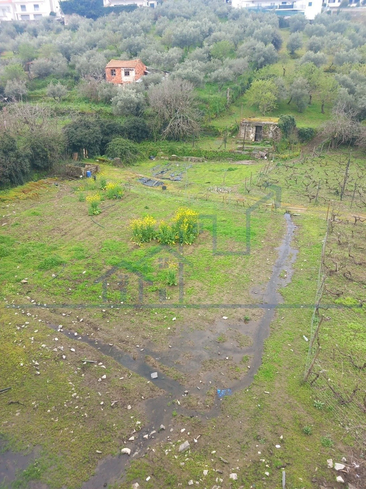 Terreno para Venda em Freixo de Espada a Cinta e Mazouco Foto 9