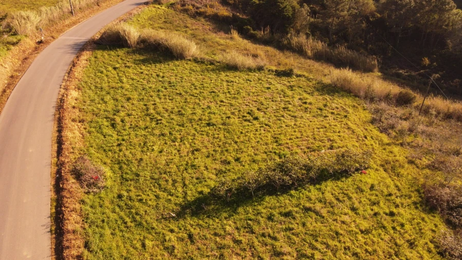 Terreno para Venda em Usseira Foto 4