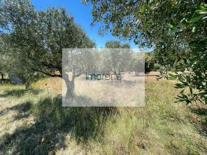 Terreno para Venda em Atouguia Foto 5