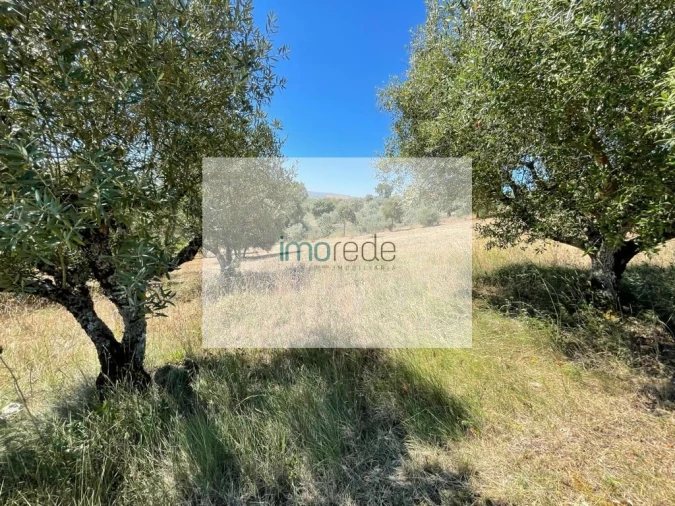 Terreno para Venda em Atouguia Foto 3