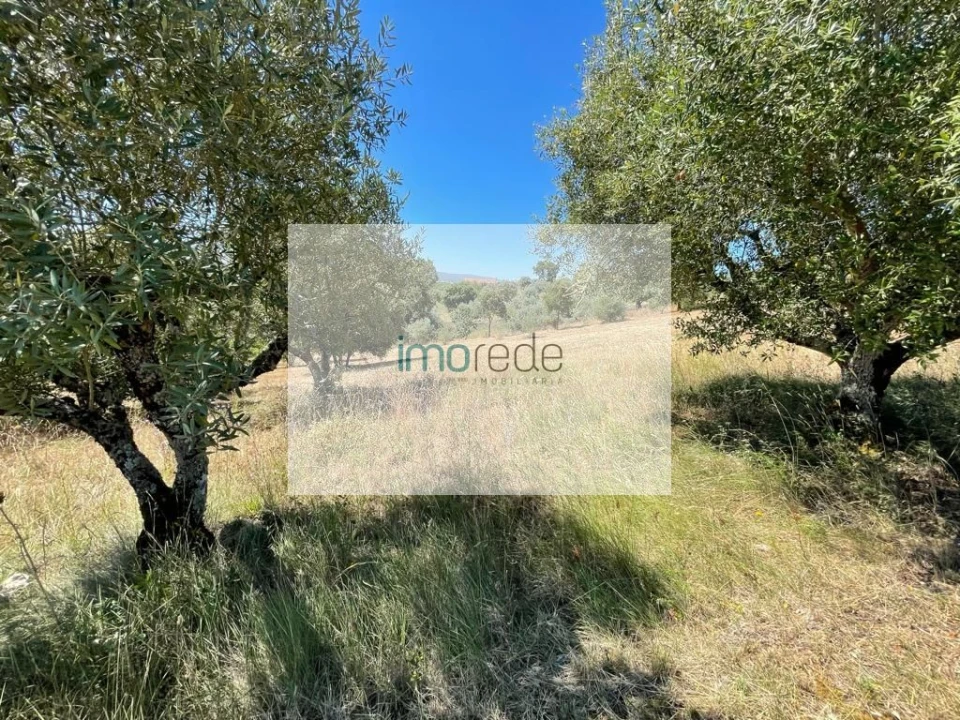 Terreno para Venda em Atouguia Foto 3