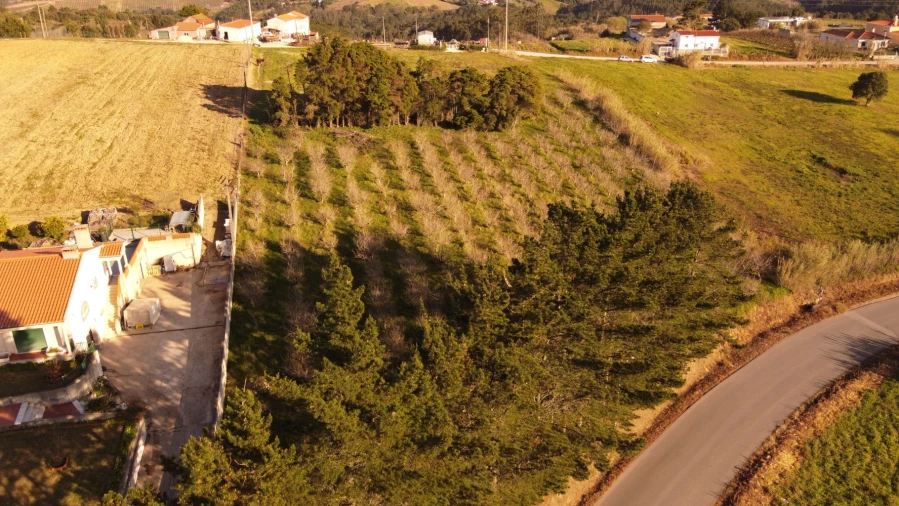 Terreno para Venda em Usseira Foto 3