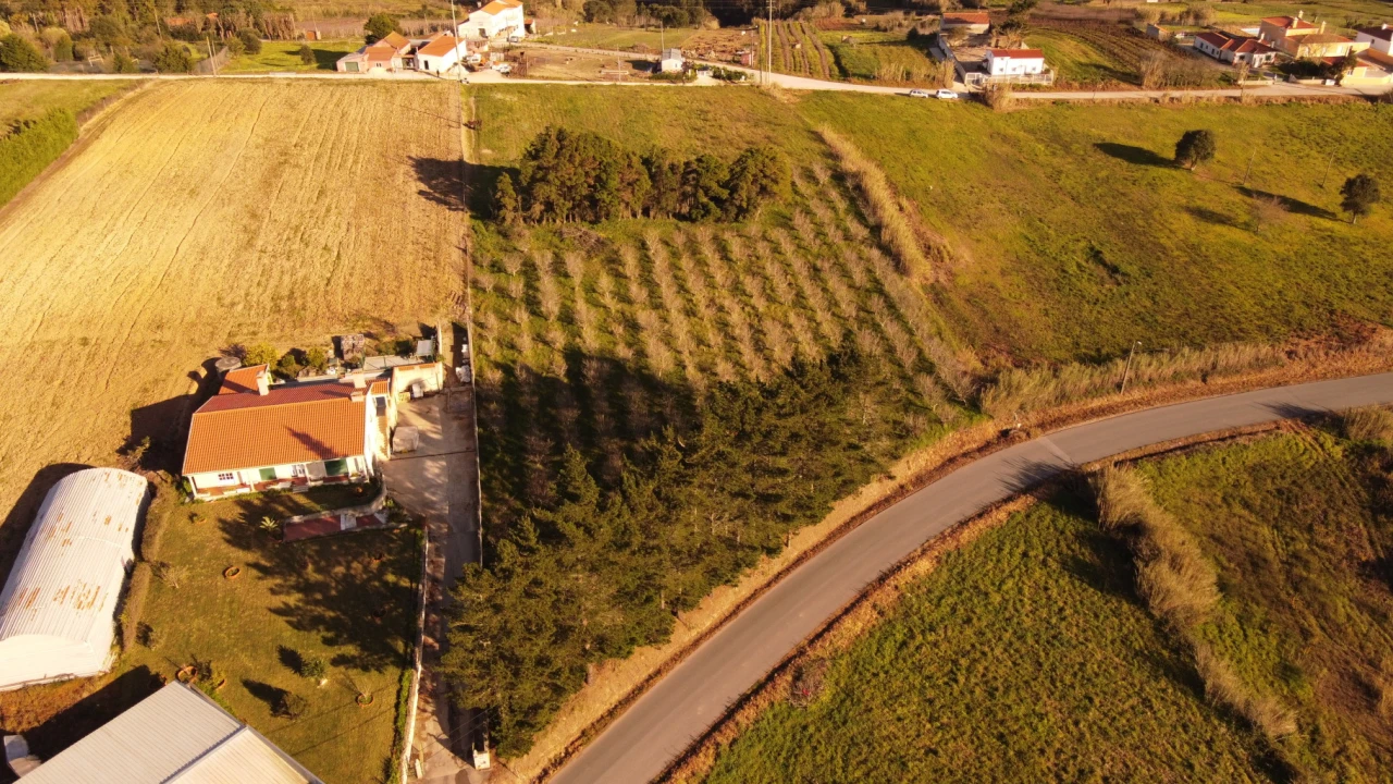 Terreno para Venda em Usseira Foto 1