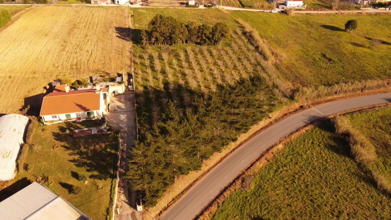 Terreno para Venda em Usseira Foto 2