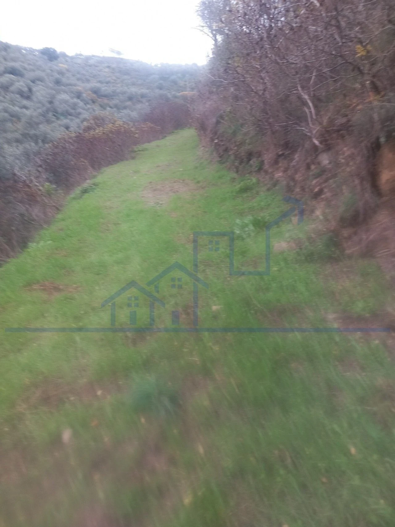 Terreno para Venda em Freixo de Espada a Cinta e Mazouco Foto 3