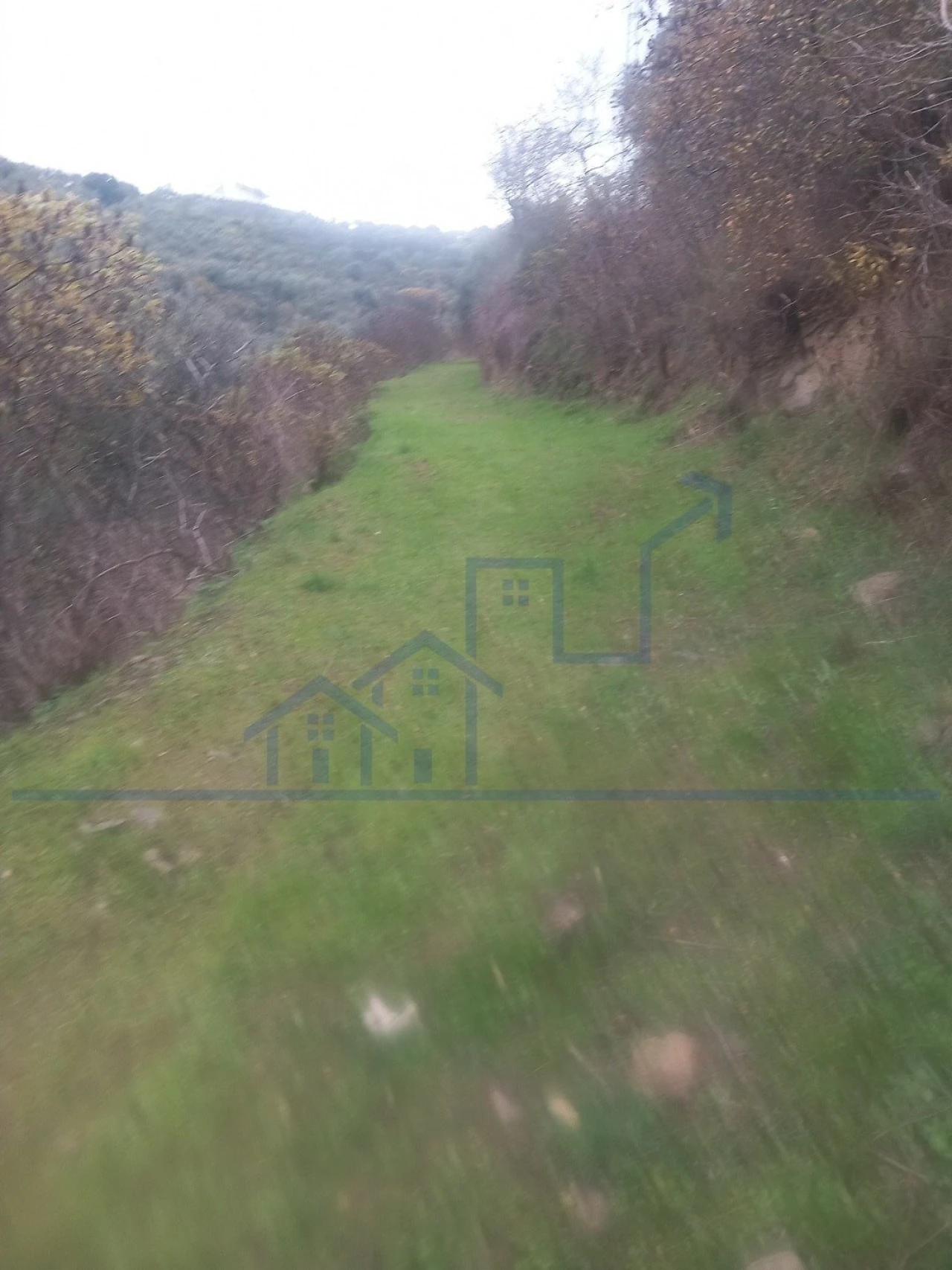 Terreno para Venda em Freixo de Espada a Cinta e Mazouco Foto 2