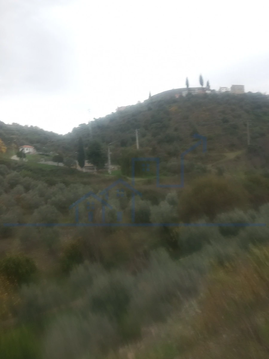 Terreno para Venda em Freixo de Espada a Cinta e Mazouco Foto 10