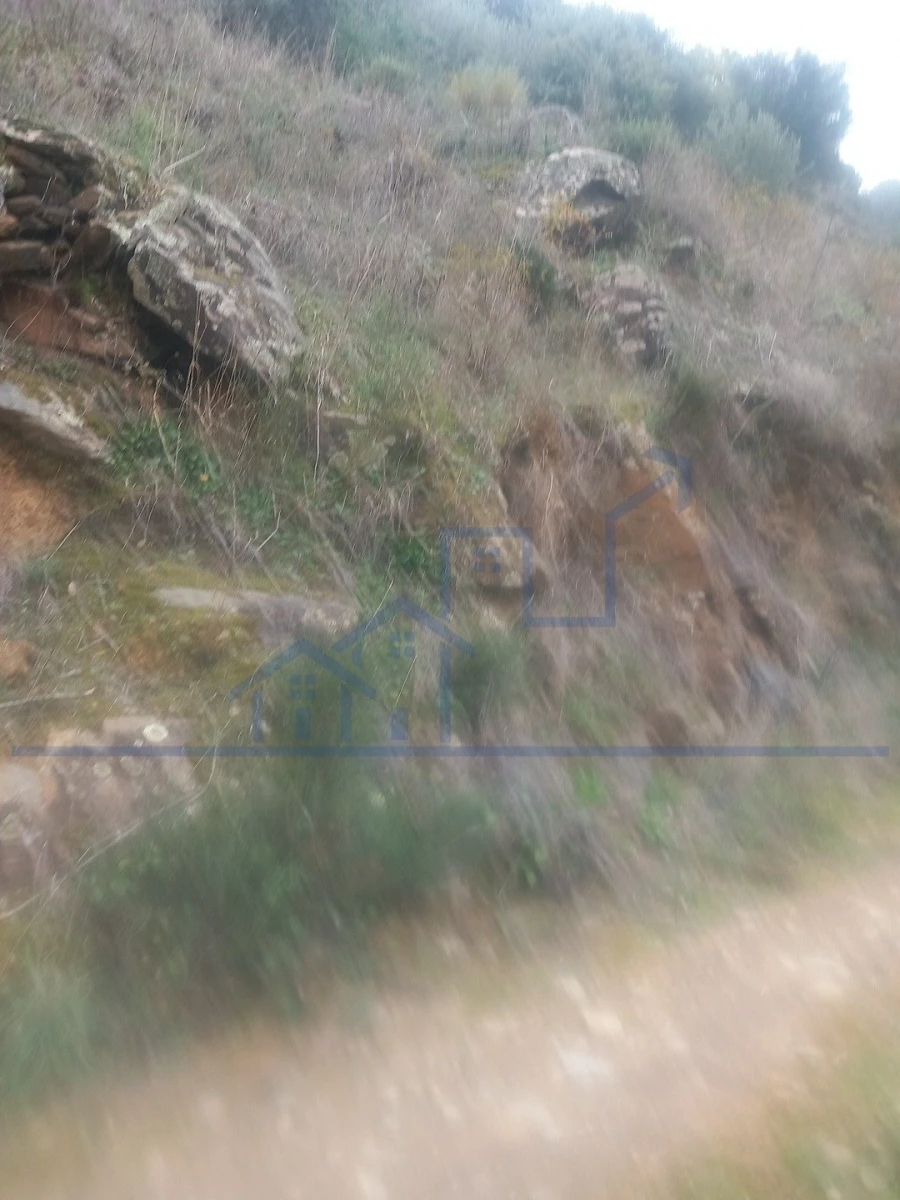 Terreno para Venda em Freixo de Espada a Cinta e Mazouco Foto 6