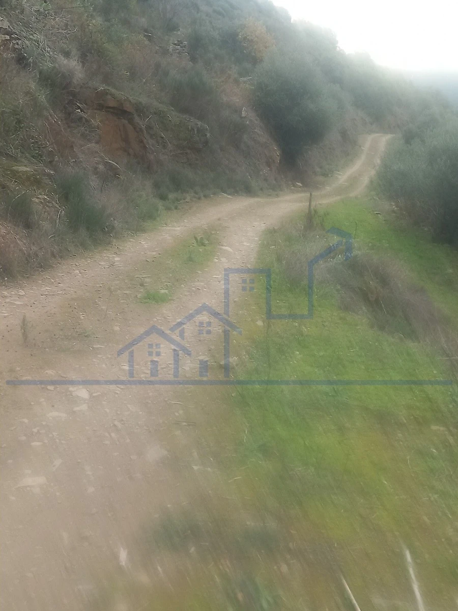 Terreno para Venda em Freixo de Espada a Cinta e Mazouco Foto 1