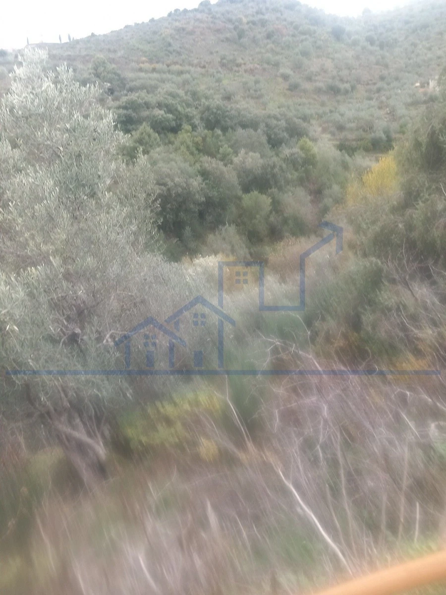 Terreno para Venda em Freixo de Espada a Cinta e Mazouco Foto 6