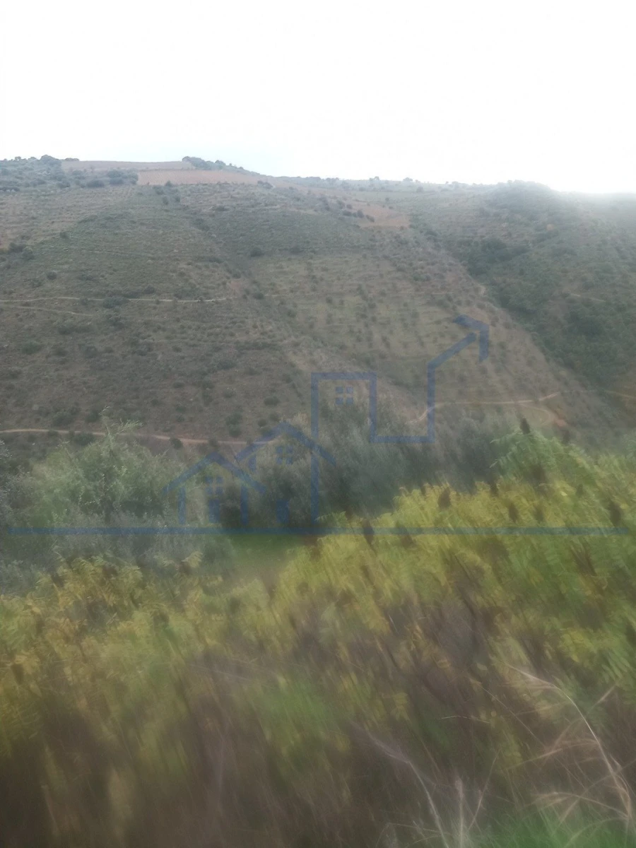 Terreno para Venda em Freixo de Espada a Cinta e Mazouco Foto 4