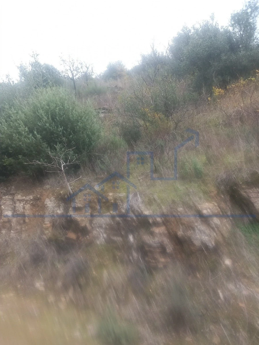 Terreno para Venda em Freixo de Espada a Cinta e Mazouco Foto 5