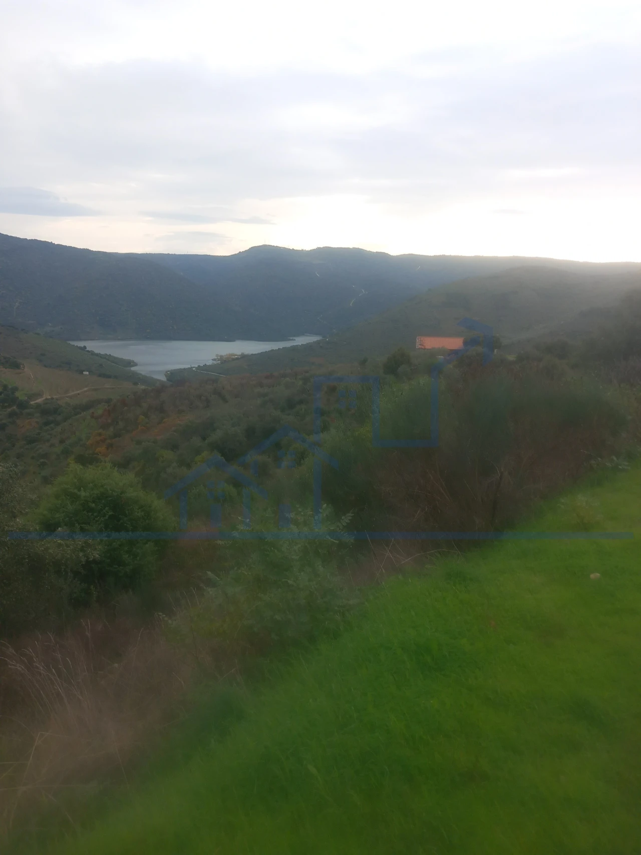 Terreno para Venda em Freixo de Espada a Cinta e Mazouco Foto 2