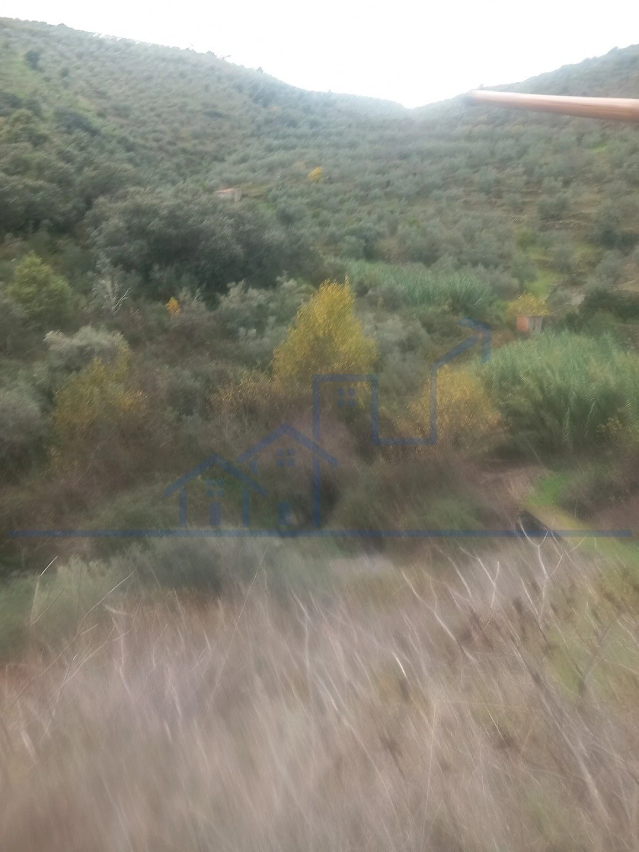 Terreno para Venda em Freixo de Espada a Cinta e Mazouco Foto 3