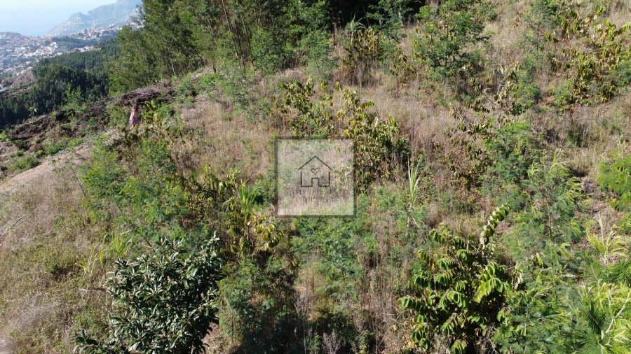 Terreno para Venda em São Roque Foto 2