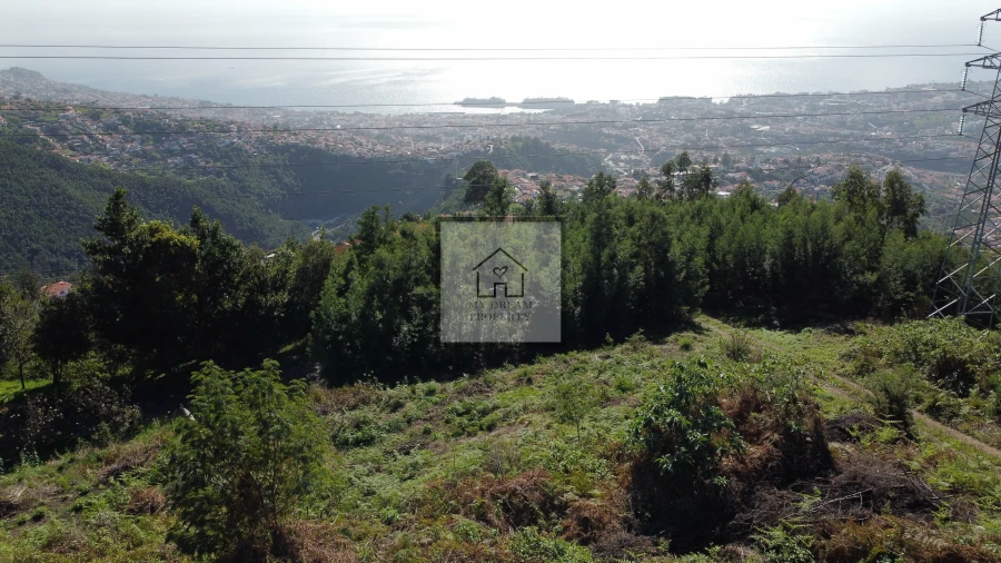 Terreno para Venda em São Roque