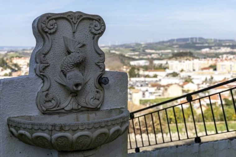 Terreno para Venda em Venda do Pinheiro e Santo Estêvão das Galés Foto 9