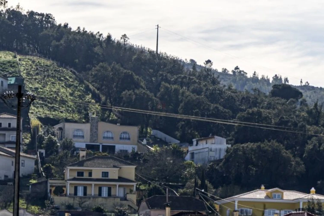 Terreno para Venda em Venda do Pinheiro e Santo Estêvão das Galés Foto 1