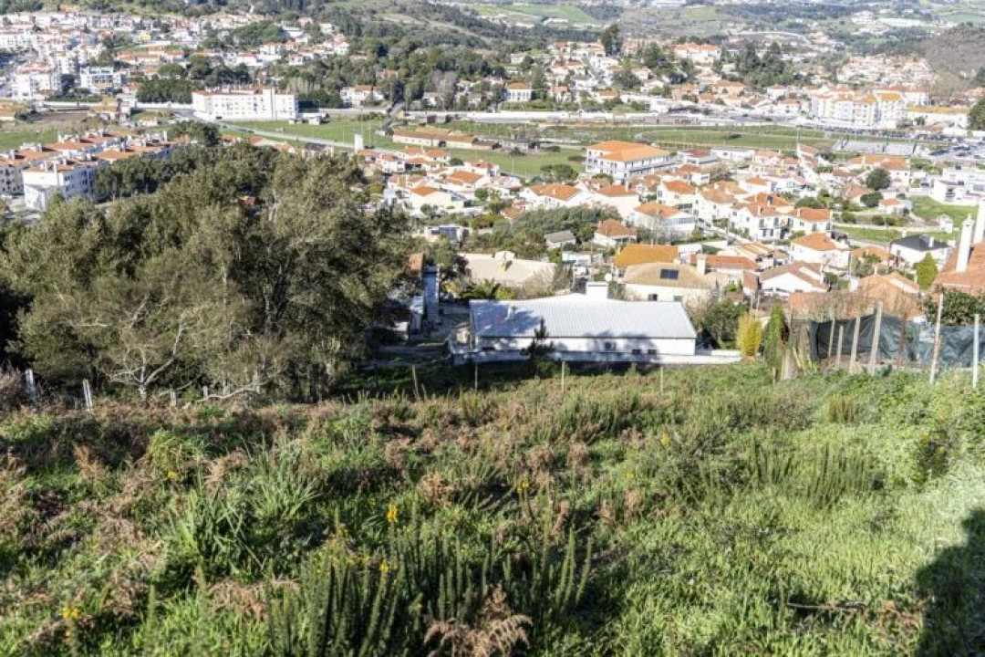 Terreno para Venda em Venda do Pinheiro e Santo Estêvão das Galés Foto 14