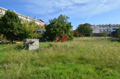 Terreno para Venda em Ajuda