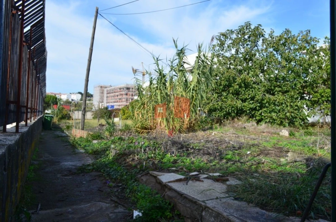 Terreno para Venda em Ajuda Foto 11