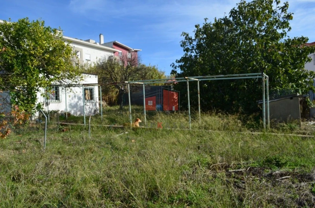 Terreno para Venda em Ajuda Foto 7