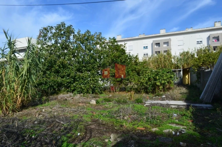 Terreno para Venda em Ajuda Foto 10