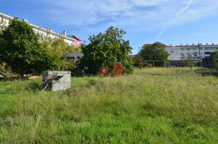 Terreno para Venda em Ajuda Foto 5