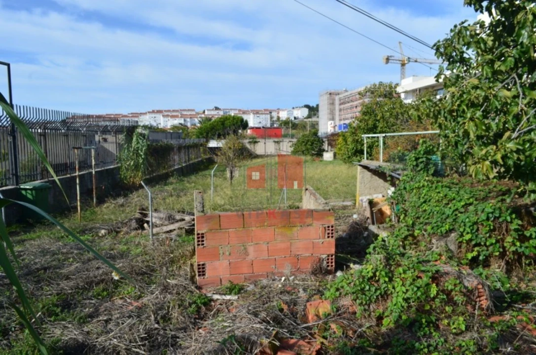 Terreno para Venda em Ajuda Foto 9