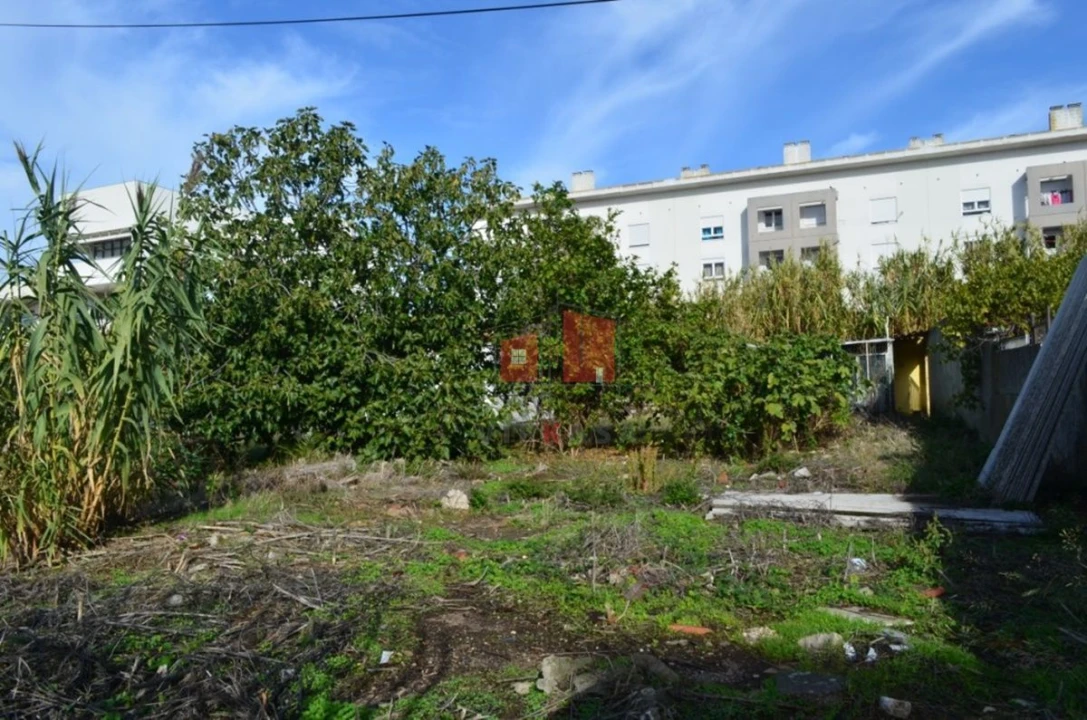 Terreno para Venda em Ajuda Foto 10