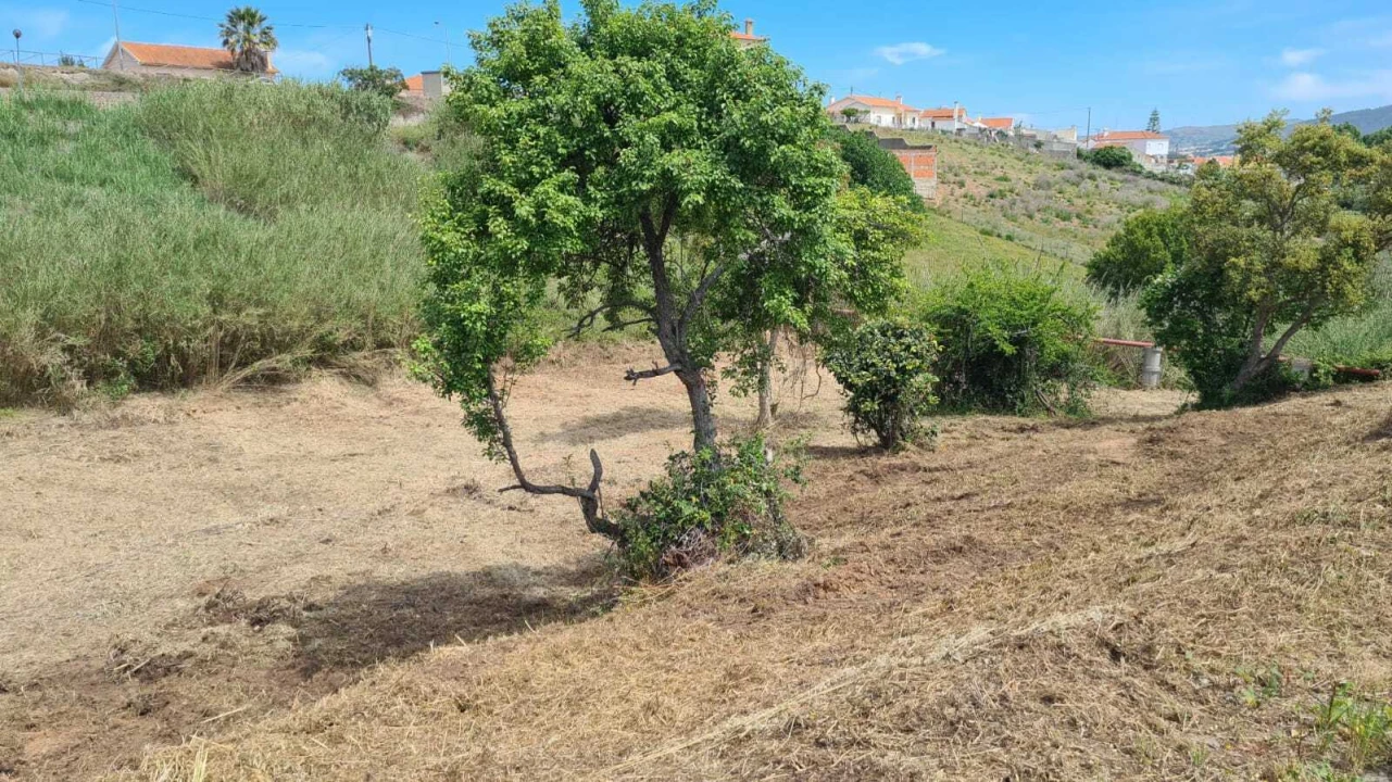 Terreno para Venda em Enxara do Bispo, Gradil e Vila Franca do Rosário Foto 10