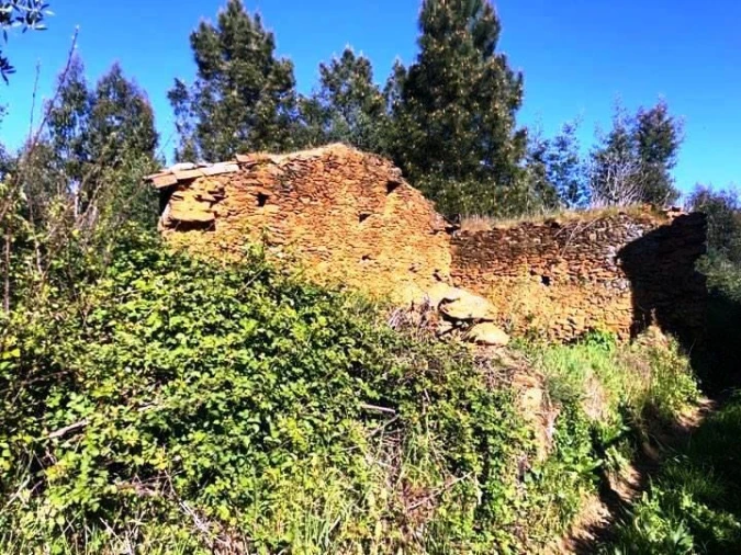 Terreno para Venda em Olalhas