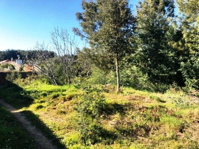 Terreno para Venda em Olalhas Foto 3