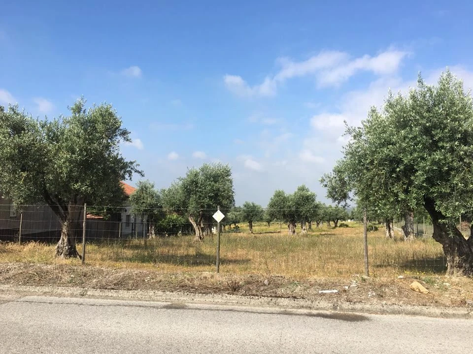 Terreno para Venda em São João Baptista e Santa Maria dos Olivais Foto 2