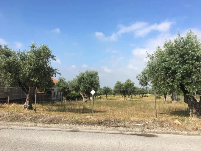 Terreno para Venda em São João Baptista e Santa Maria dos Olivais Foto 2