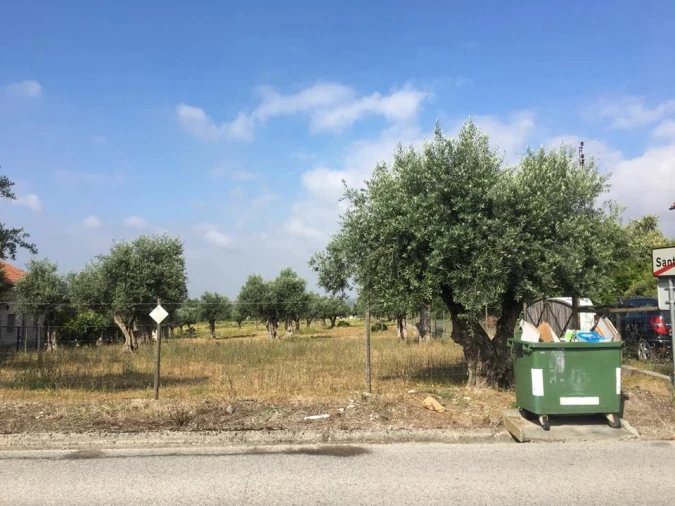 Terreno para Venda em São João Baptista e Santa Maria dos Olivais Foto 3