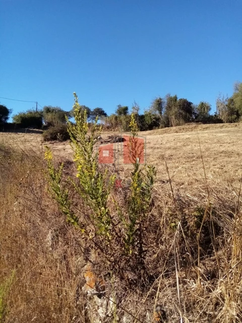 Terreno para Venda em Malveira e São Miguel de Alcainça