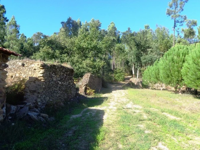Terreno para Venda em Olalhas Foto 3