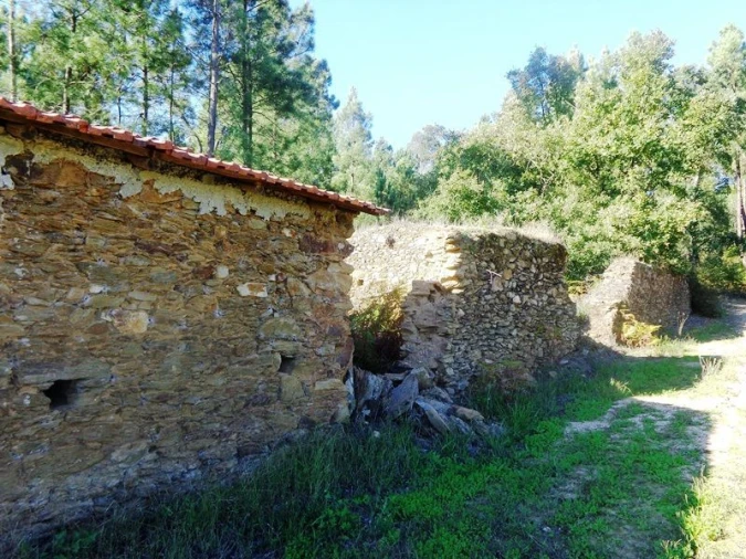 Terreno para Venda em Olalhas Foto 2
